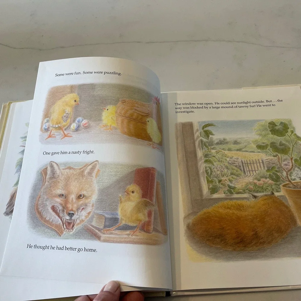 The Runaway Chick by Robin Ravilious - 1987 HCDJ